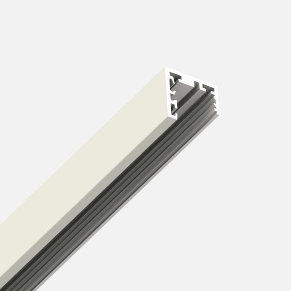 File Flex sistema - Profilo vuoto